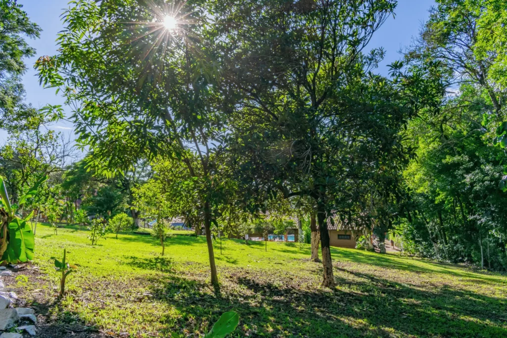 Amplo gramado verde com árvores nativas e raio de sol passando entre as folhas, mostrando a área de preservação do Hotel Colonial em Foz do Iguaçu.