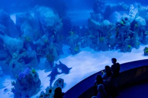 Grande aquário do Aqua Foz com espécies marinhas em Foz do Iguaçu