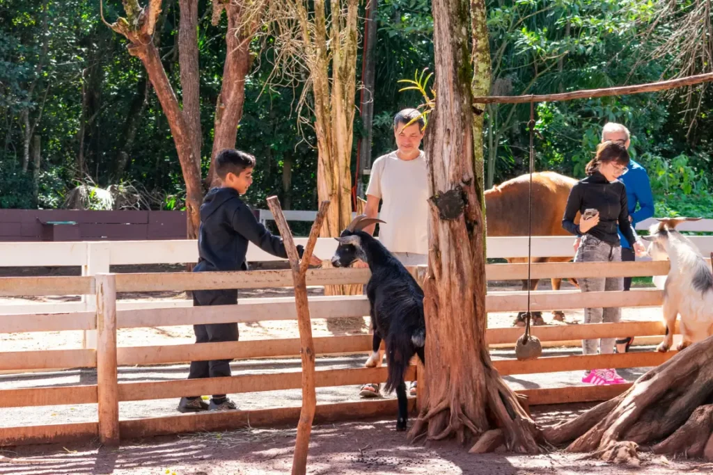 Criança interagindo com cabras na fazendinha do Eco Park Foz