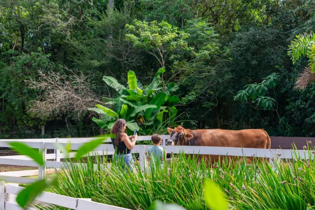 Família visitando a fazendinha do Eco Park Foz com criança observando animal